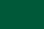 Farba akrylowa A10 Dark Green Pearl (G)