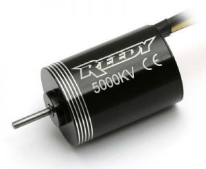 Reedy Micro Brushless 5000kV