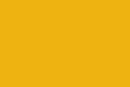 Standard Cub Yellow